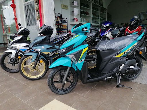 HANS MOTORS COLLECTION & SERVICES