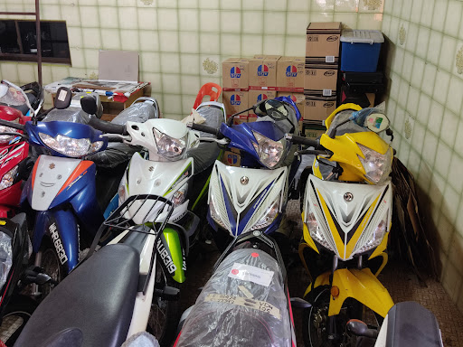 UMT Motor UMT Motor