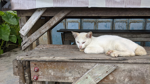Bengkel Motor Fauzi Tukiran