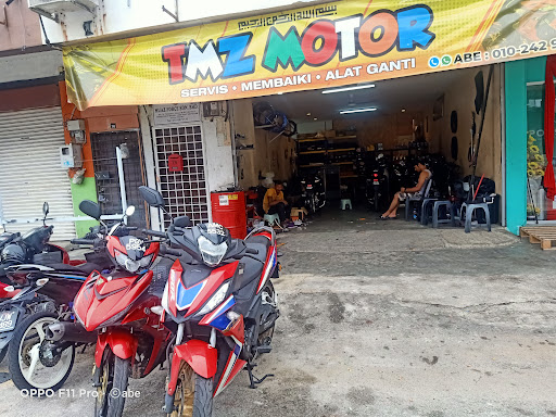 TMZ MOTOR