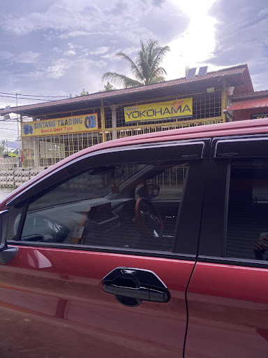 KINGAUTOTINTED KINARUT