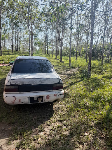 Chan’s Workshop Co.