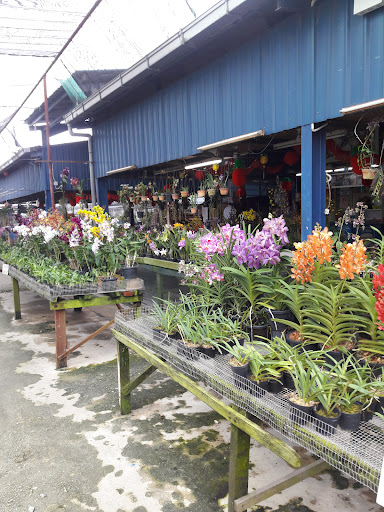 Voca Mechanic Services