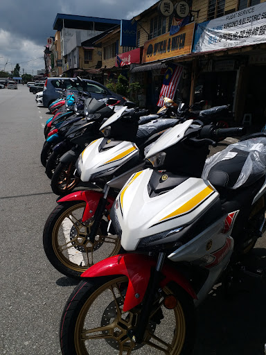 United Motor Trading Co.