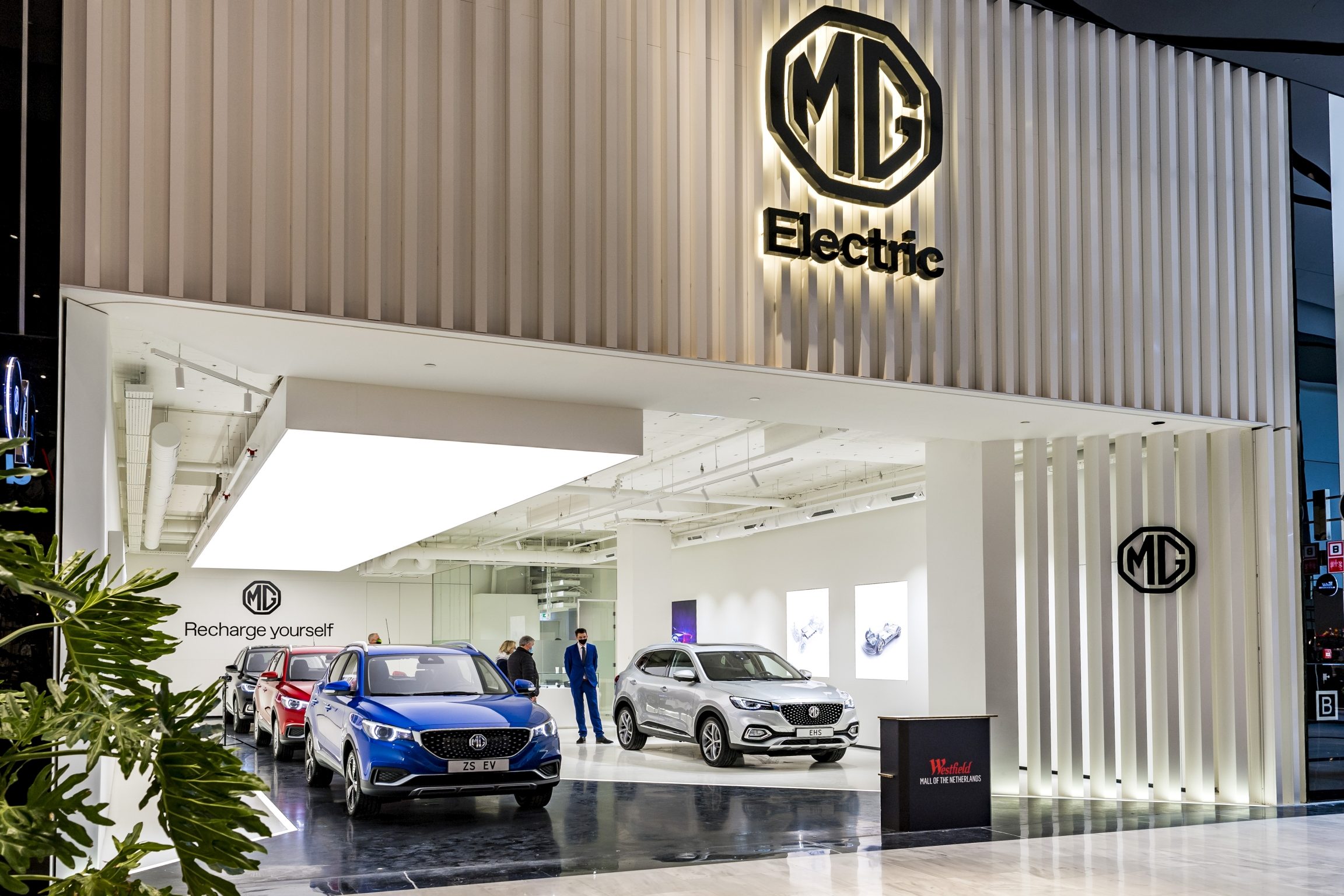 MG MOTOR SHOP 1 mg motor shop