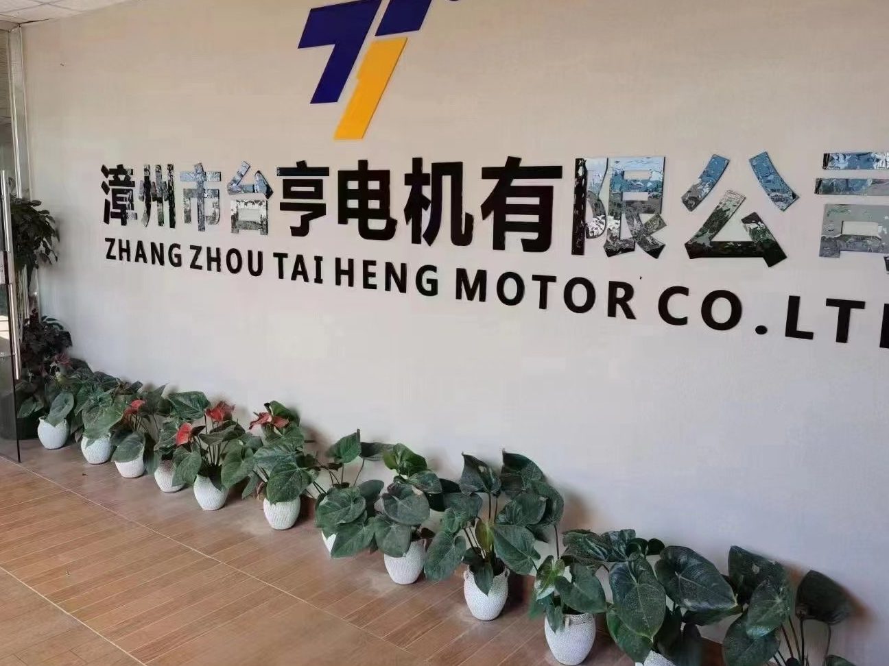 Tai Heng Motors 1 tai heng motors