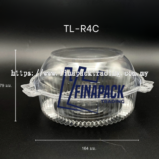 tek hin auto sdn bhd