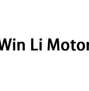 WIN LI MOTOR 1 win li motor